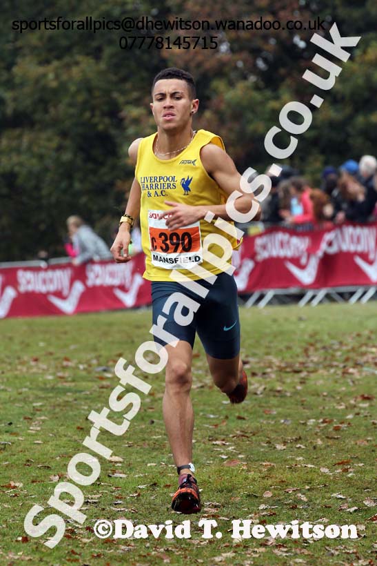 Junior men, National Cross Country Relays, Berry Park, Mansfield. Photo: David T. Hewitson/Sports for All Pics